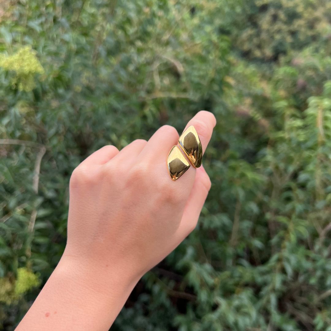 Anillo Remo