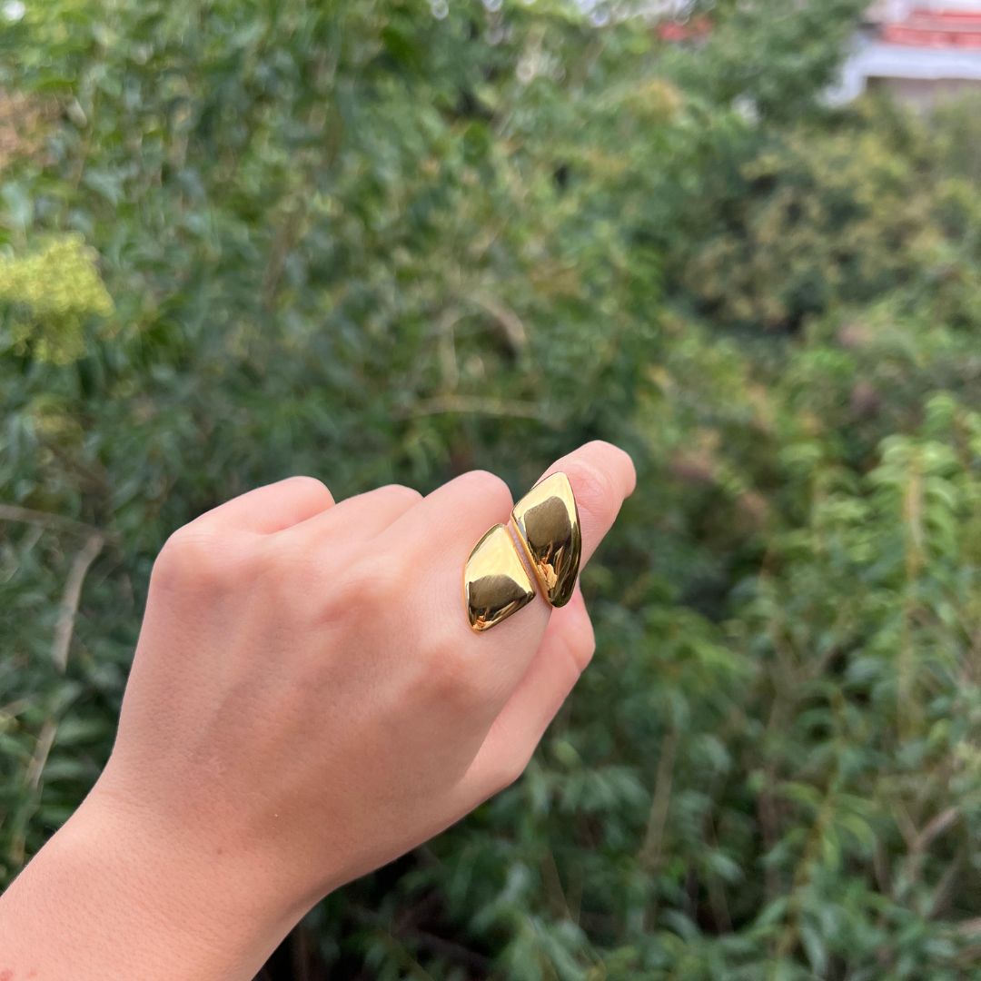 Anillo Remo