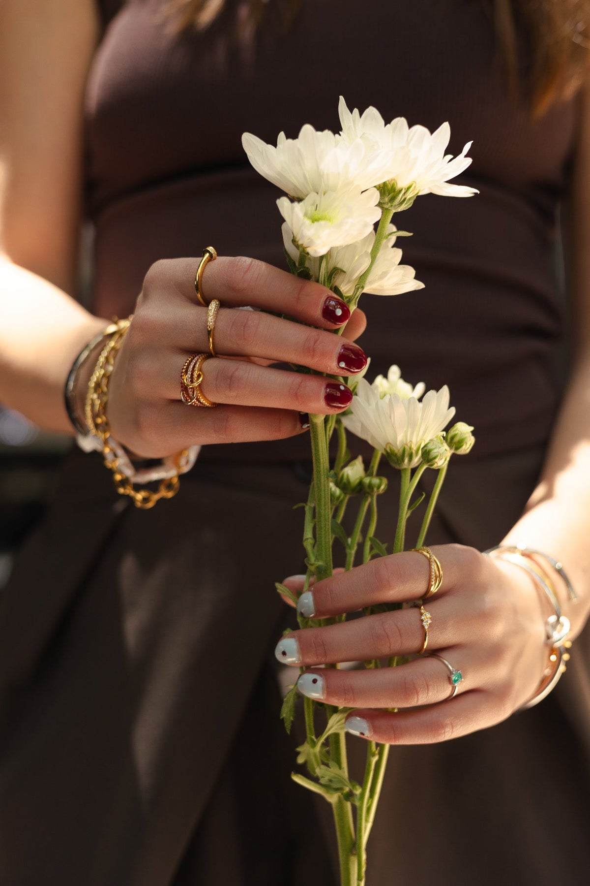 Anillos